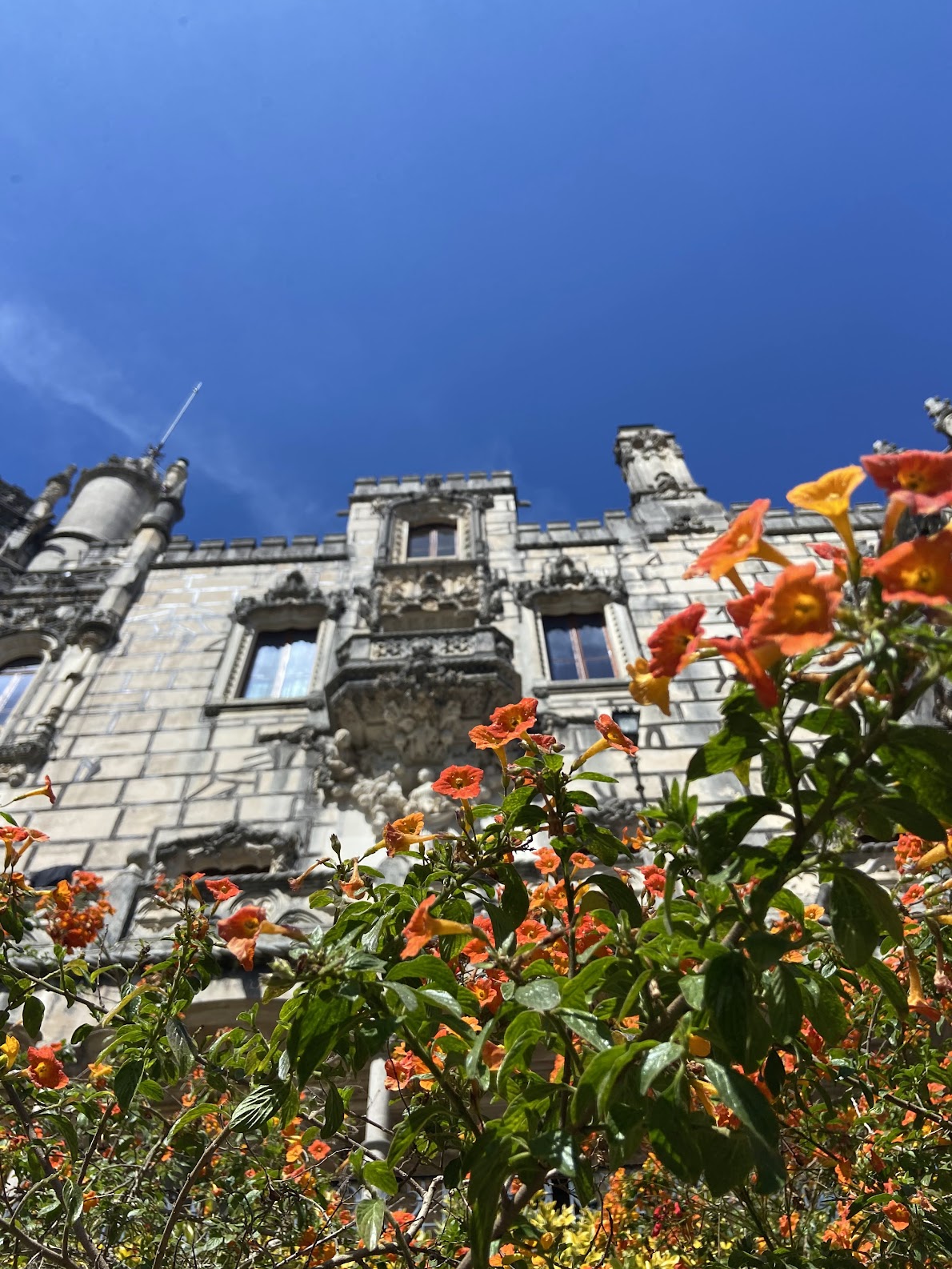 Quinta da Regaleira - Flores.jpg
